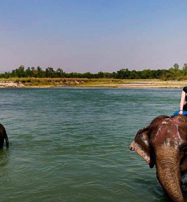 https://www.offthewalltrekking.com/wp-content/uploads/2019/09/chitwan-elephant-bath-370x400.jpg